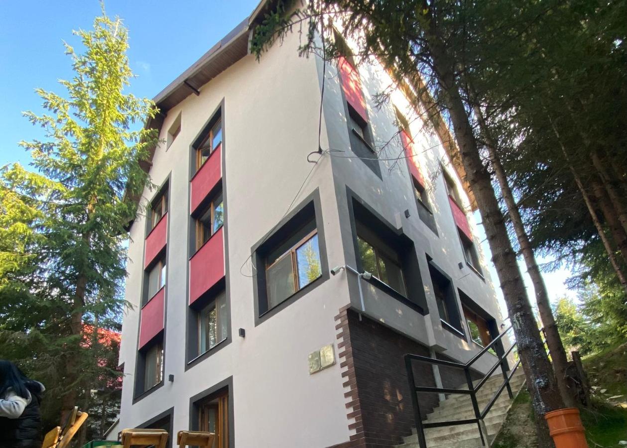 Altitude Guest House ルンカ エクステリア 写真